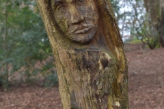 Tree carving in Edenvale